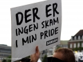 Copenhagenprideparade-2015-photoby-NadineLensborn-0115